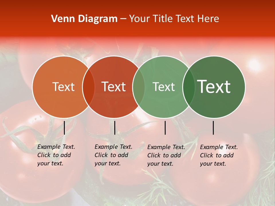 Tomato Branch Close Up PowerPoint Template
