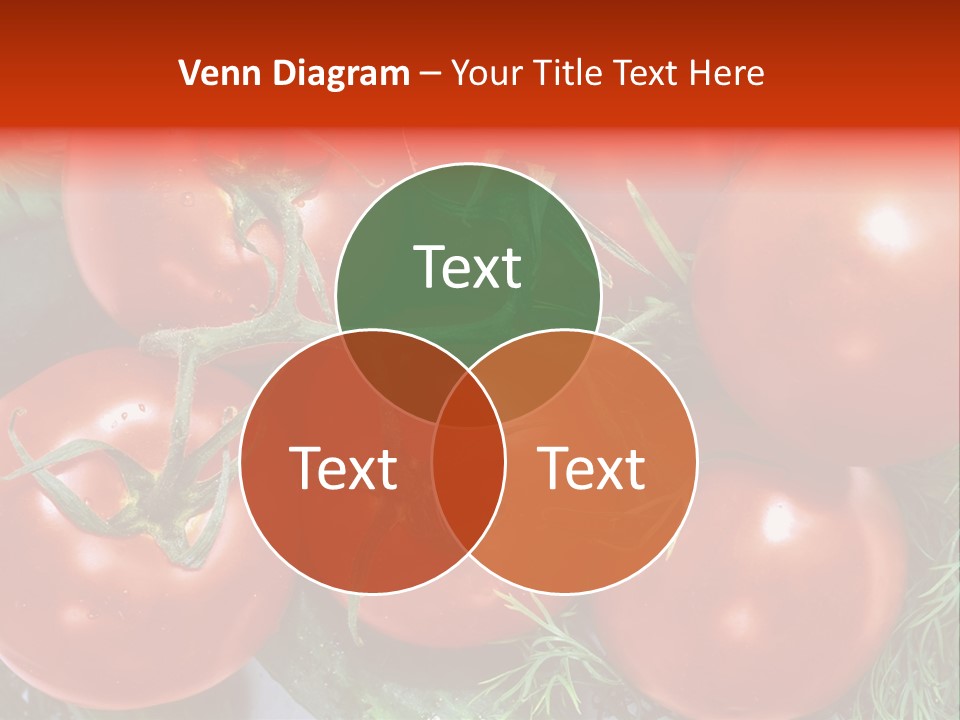 Tomato Branch Close Up PowerPoint Template