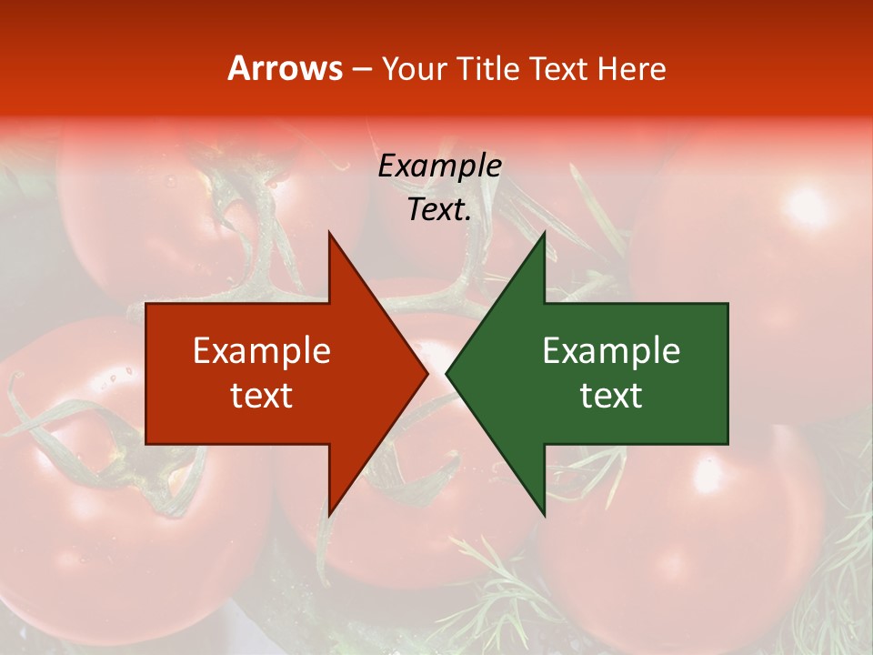 Tomato Branch Close Up PowerPoint Template