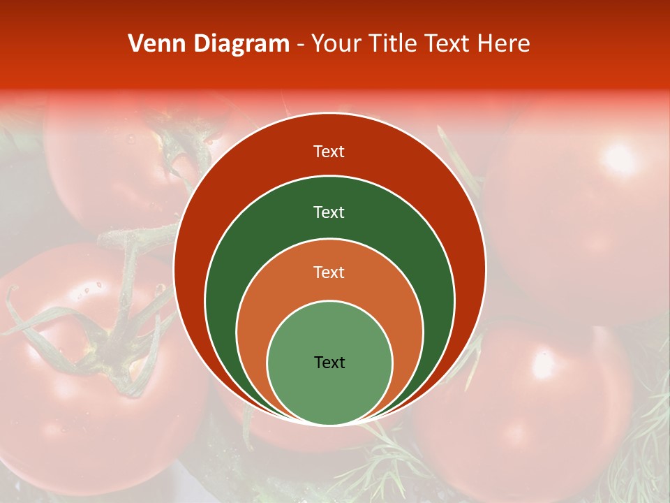 Tomato Branch Close Up PowerPoint Template