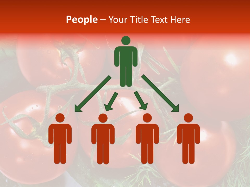 Tomato Branch Close Up PowerPoint Template