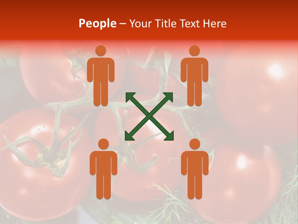 Tomato Branch Close Up PowerPoint Template