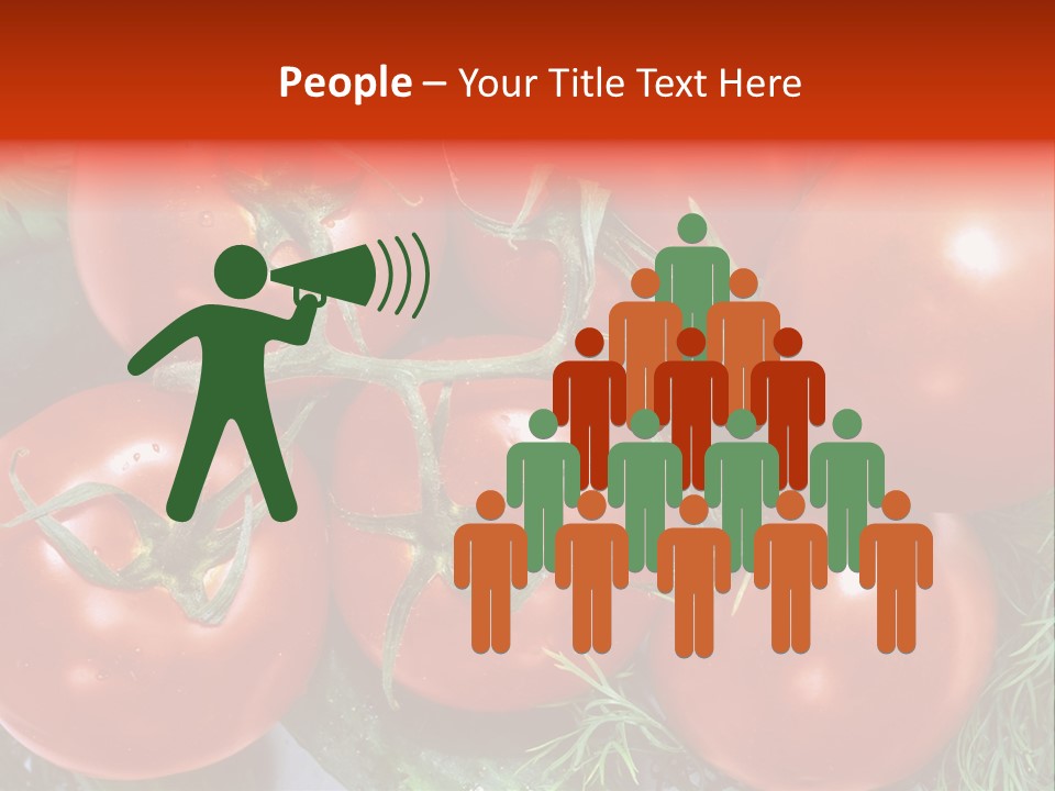 Tomato Branch Close Up PowerPoint Template