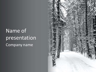 Snow Covered Footbridge On A Foggy Winter Day PowerPoint Template