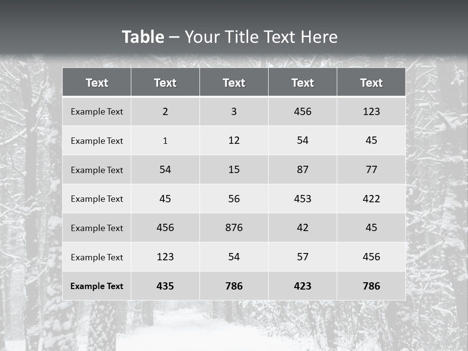 Snow Covered Footbridge On A Foggy Winter Day PowerPoint Template