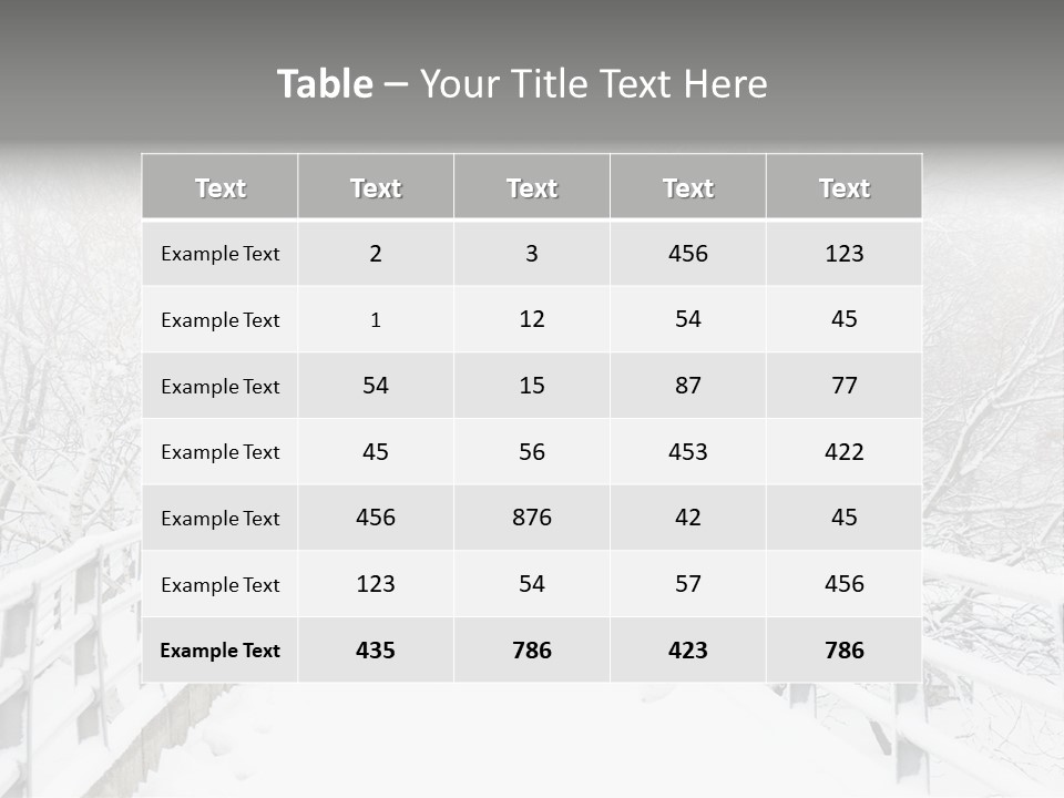 Snow Covered Footbridge On A Foggy Winter Day PowerPoint Template