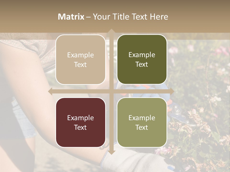 Beautiful Young Woman In The Yard Gardening PowerPoint Template