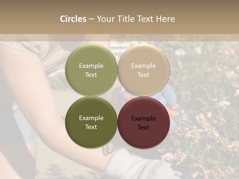 Beautiful Young Woman In The Yard Gardening PowerPoint Template