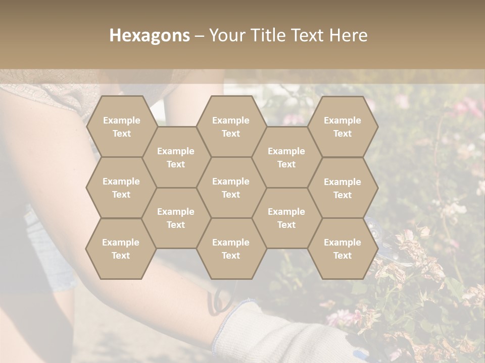 Beautiful Young Woman In The Yard Gardening PowerPoint Template