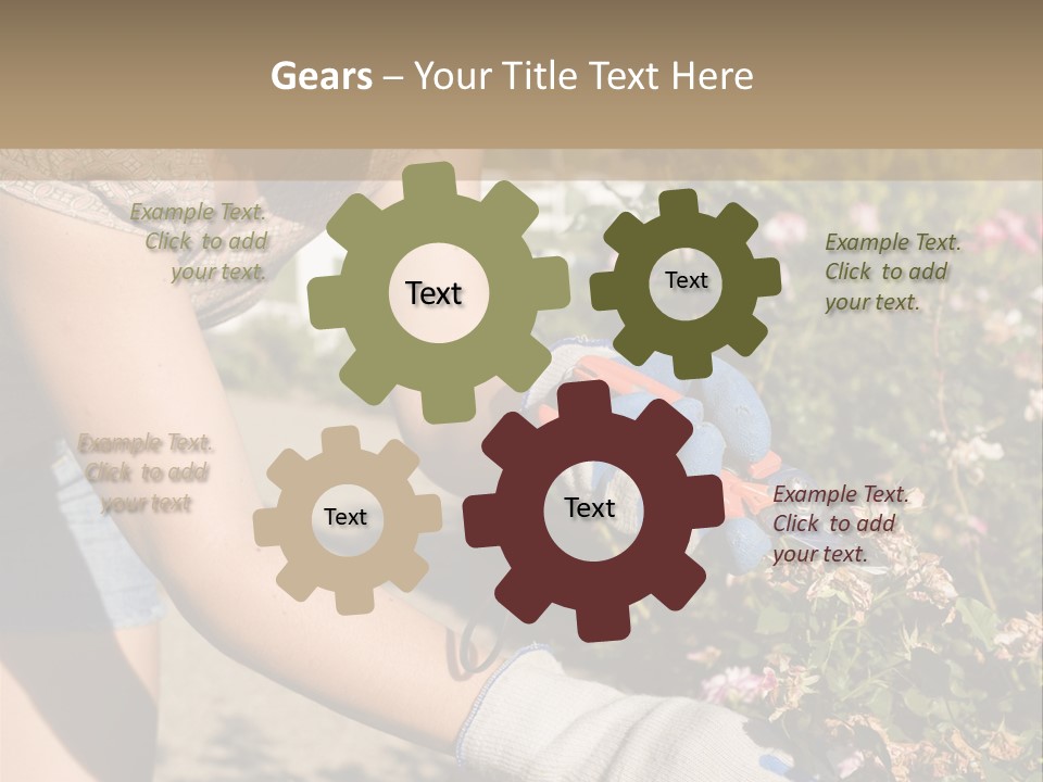 Beautiful Young Woman In The Yard Gardening PowerPoint Template