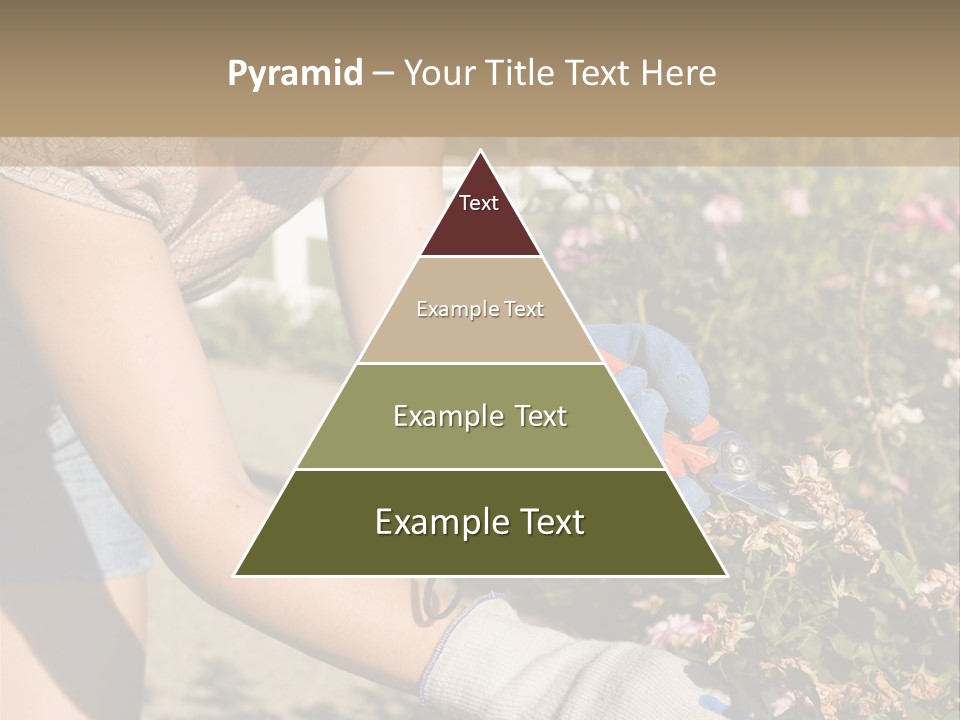 Beautiful Young Woman In The Yard Gardening PowerPoint Template