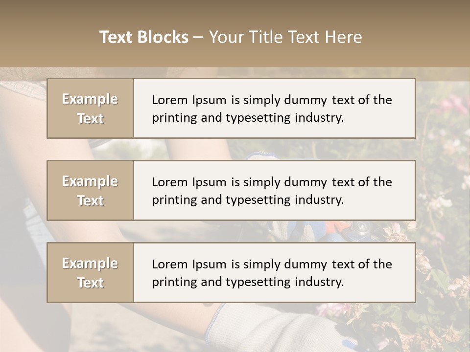 Beautiful Young Woman In The Yard Gardening PowerPoint Template