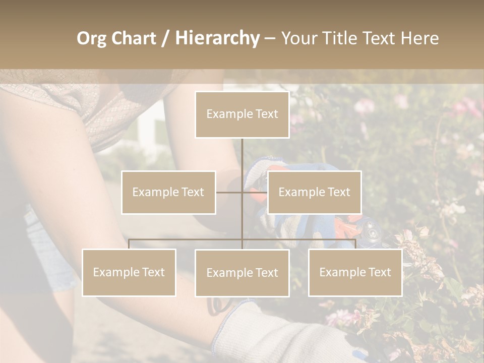 Beautiful Young Woman In The Yard Gardening PowerPoint Template