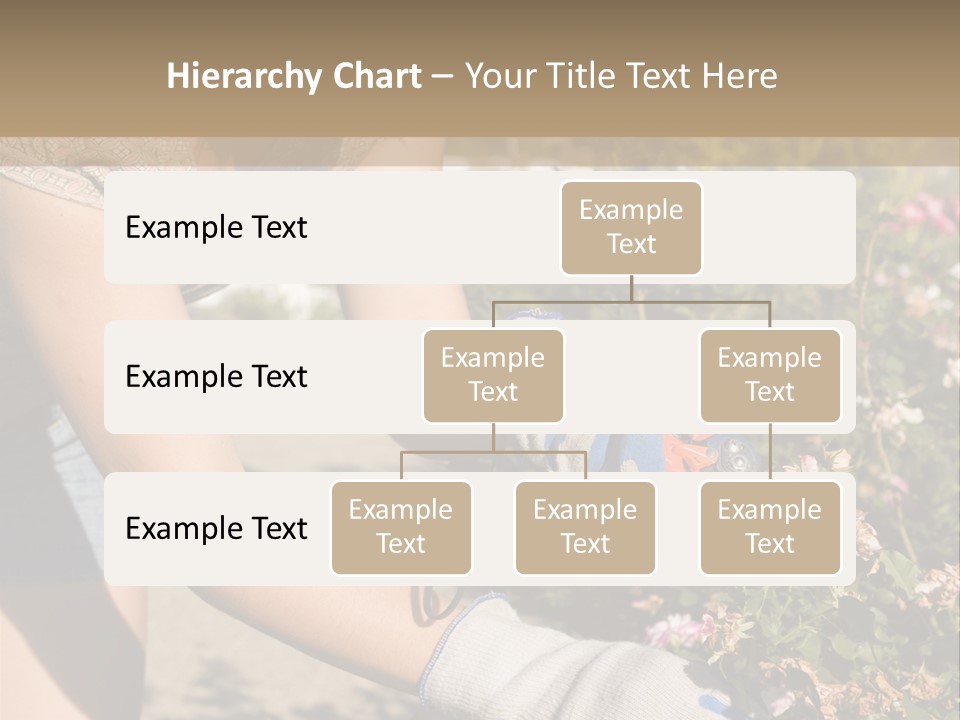 Beautiful Young Woman In The Yard Gardening PowerPoint Template