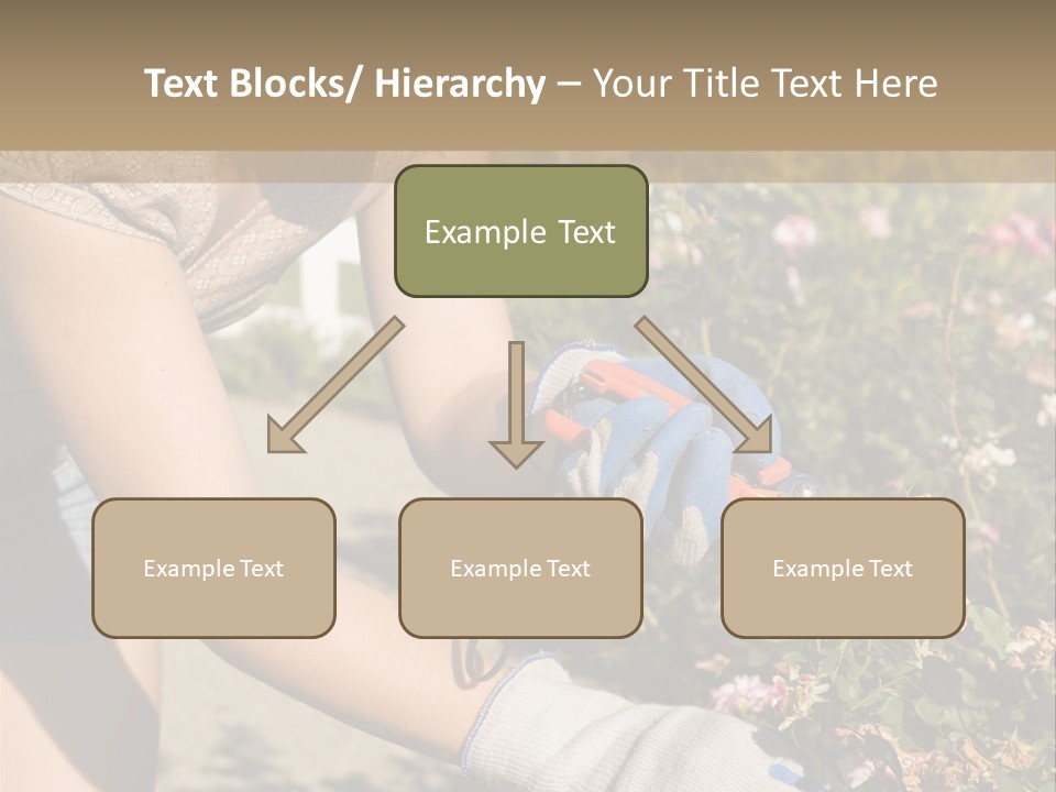 Beautiful Young Woman In The Yard Gardening PowerPoint Template