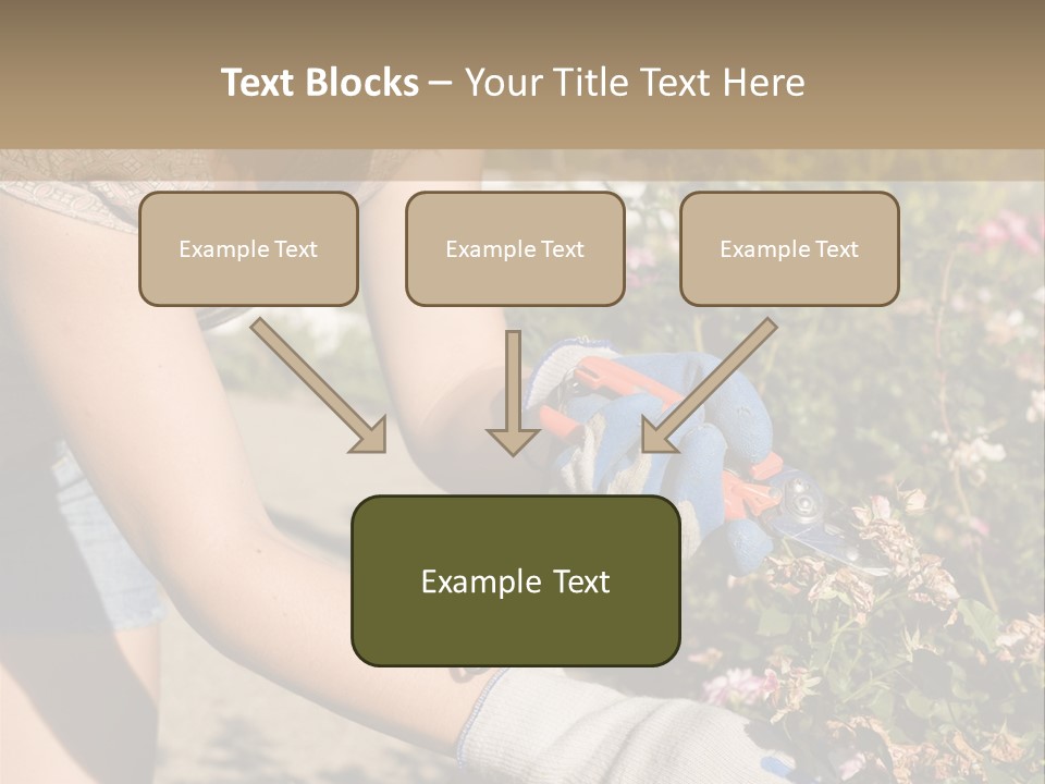 Beautiful Young Woman In The Yard Gardening PowerPoint Template