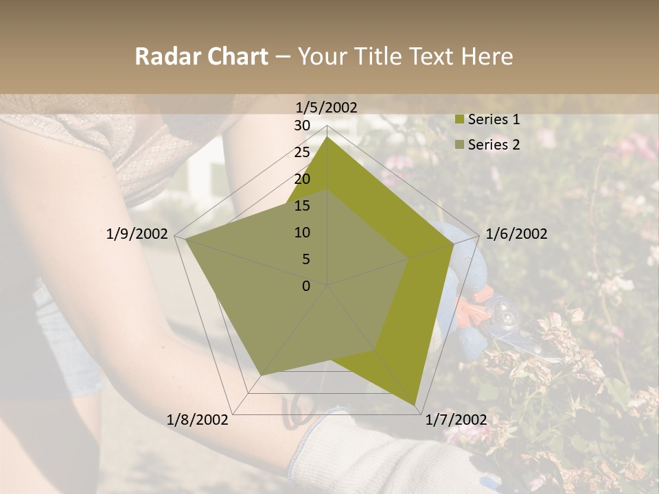 Beautiful Young Woman In The Yard Gardening PowerPoint Template
