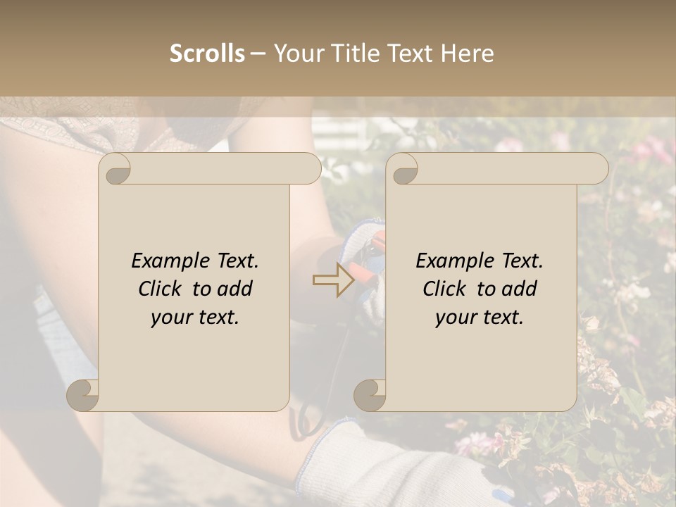 Beautiful Young Woman In The Yard Gardening PowerPoint Template