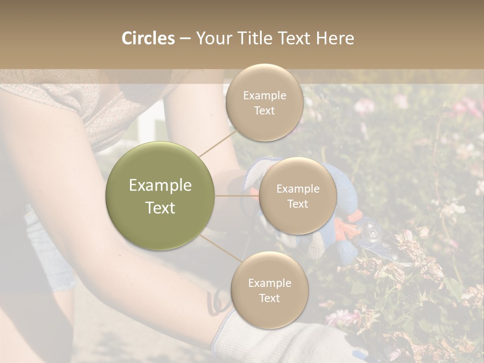 Beautiful Young Woman In The Yard Gardening PowerPoint Template