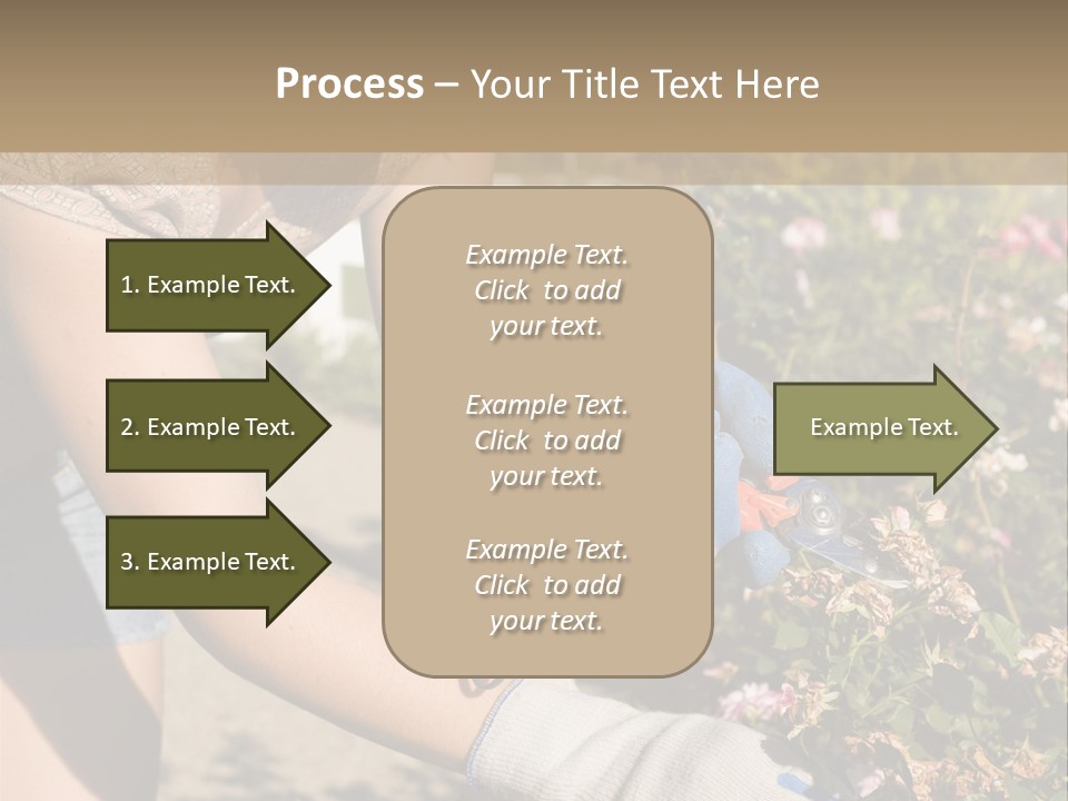 Beautiful Young Woman In The Yard Gardening PowerPoint Template