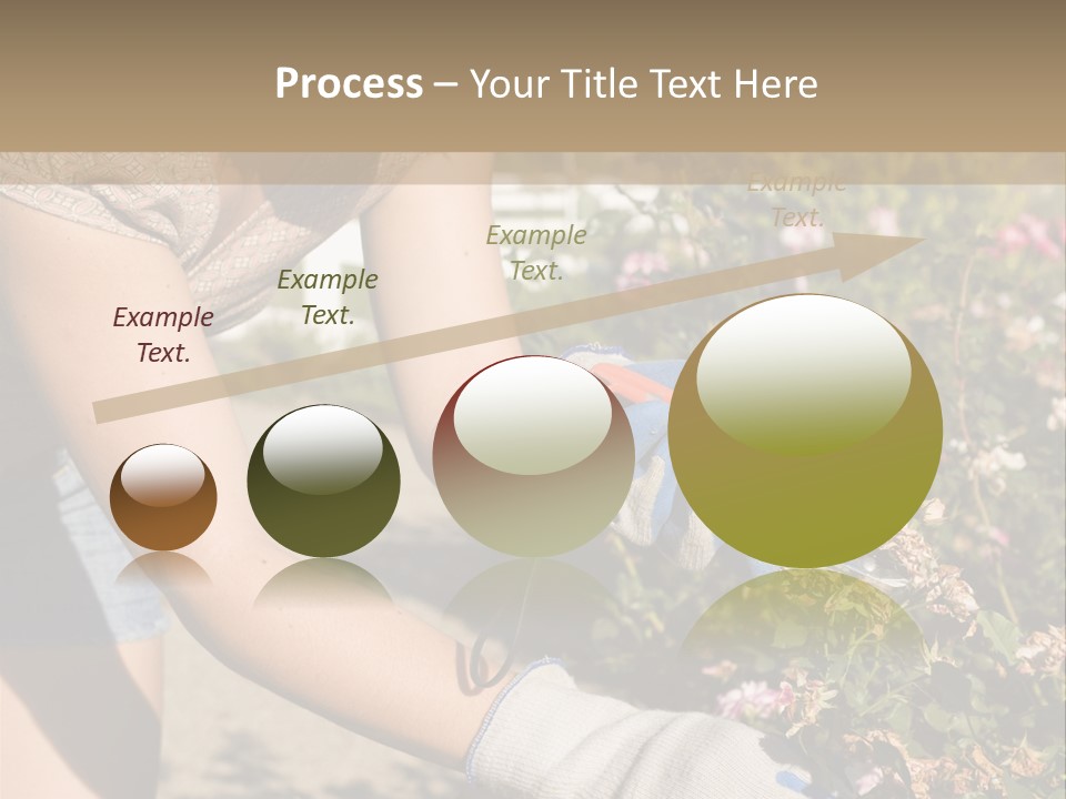 Beautiful Young Woman In The Yard Gardening PowerPoint Template