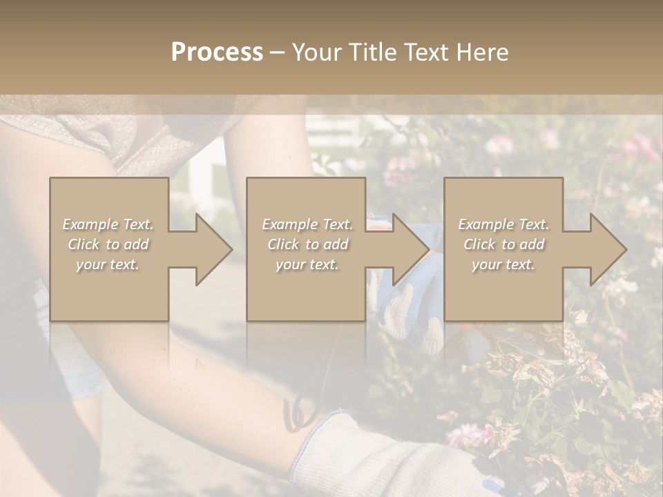 Beautiful Young Woman In The Yard Gardening PowerPoint Template