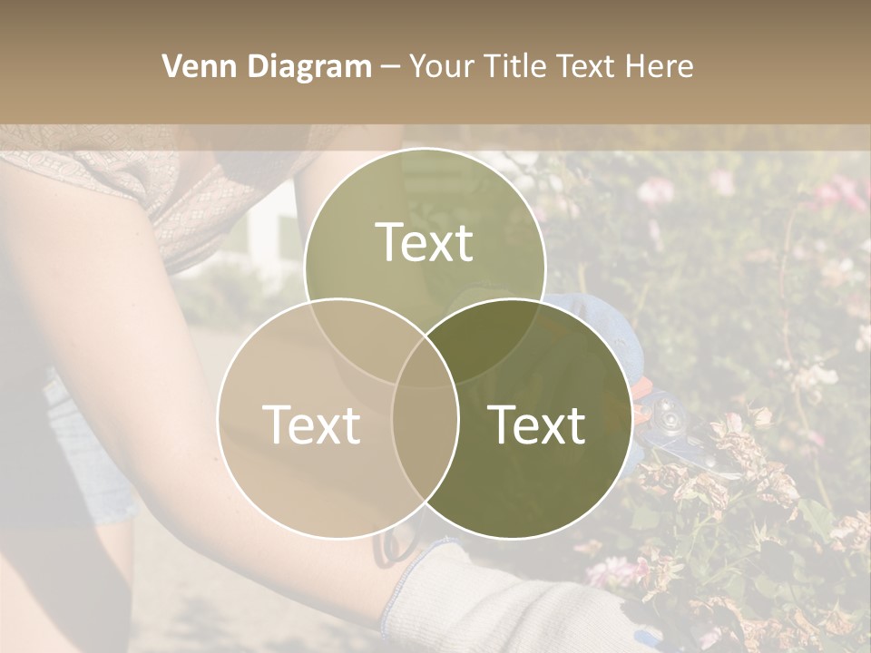 Beautiful Young Woman In The Yard Gardening PowerPoint Template