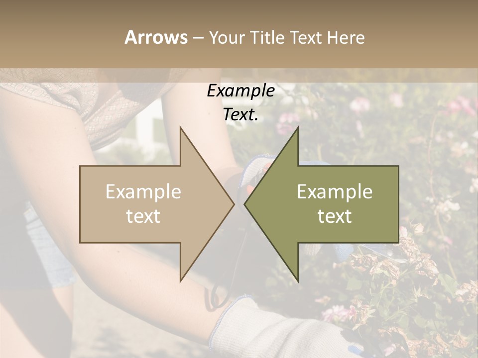 Beautiful Young Woman In The Yard Gardening PowerPoint Template