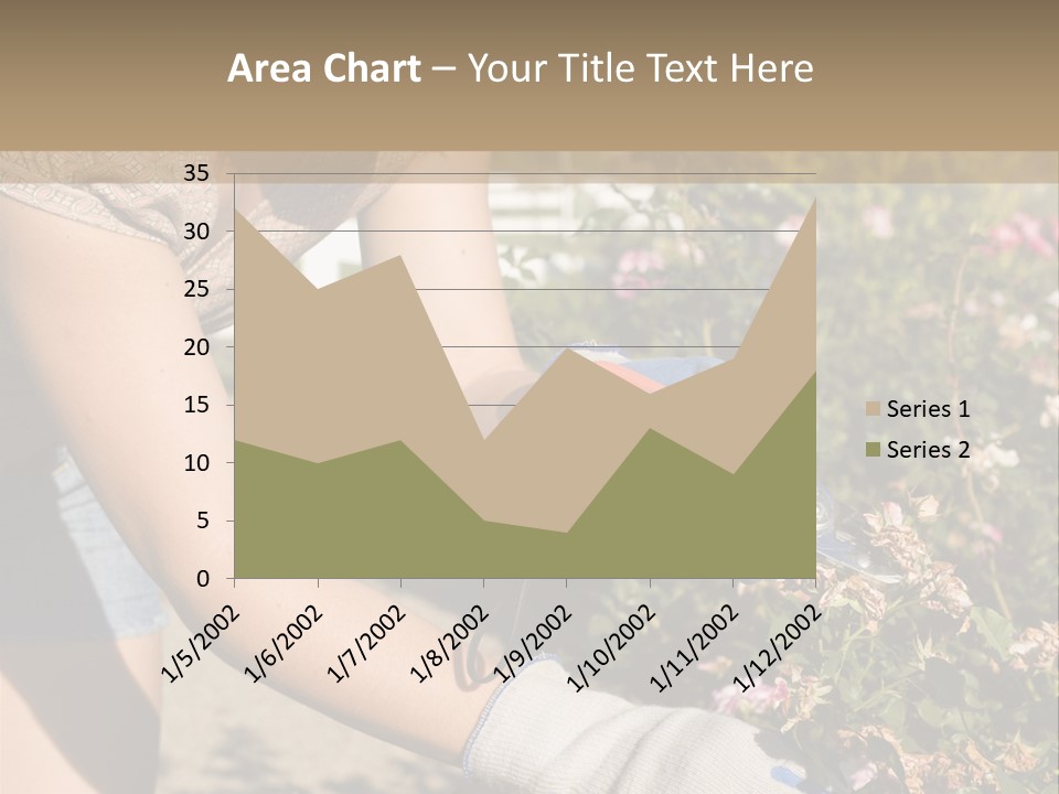 Beautiful Young Woman In The Yard Gardening PowerPoint Template