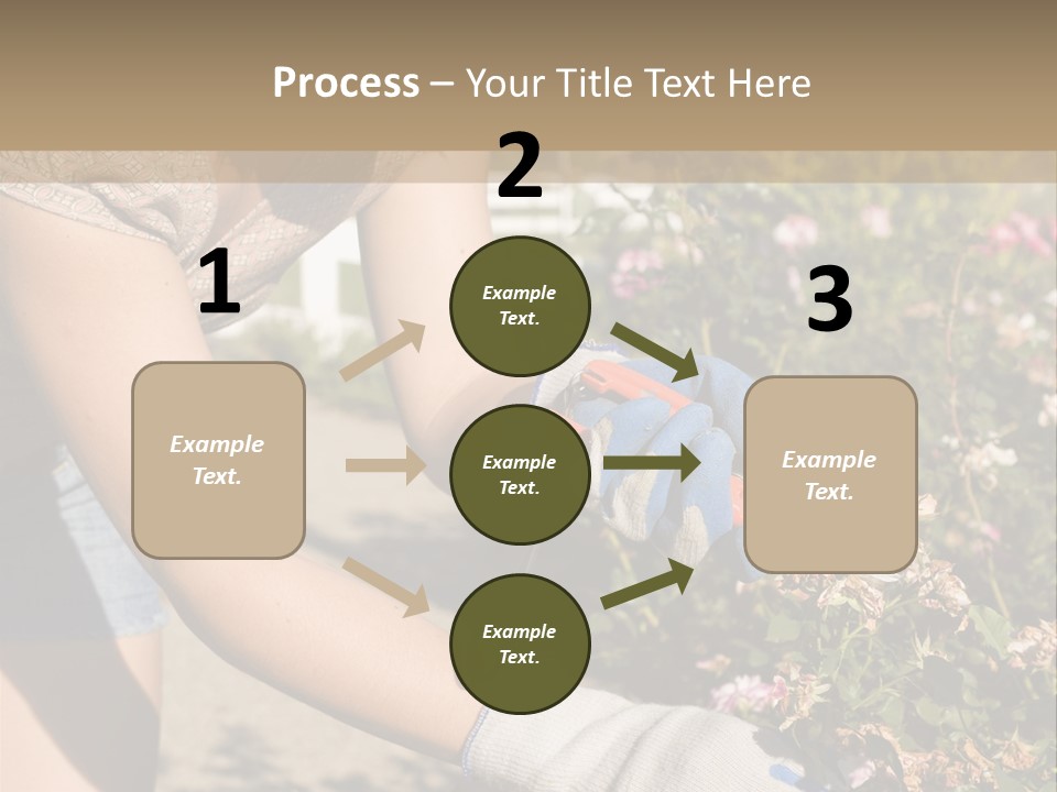 Beautiful Young Woman In The Yard Gardening PowerPoint Template