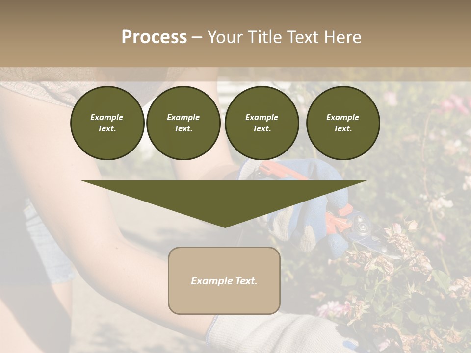 Beautiful Young Woman In The Yard Gardening PowerPoint Template