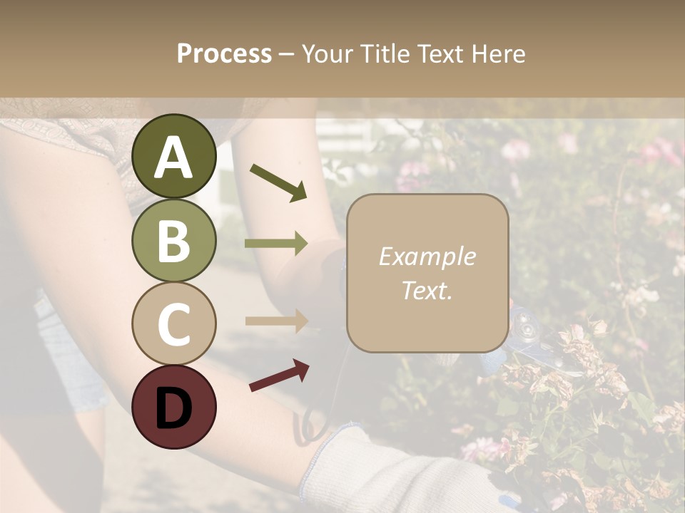 Beautiful Young Woman In The Yard Gardening PowerPoint Template