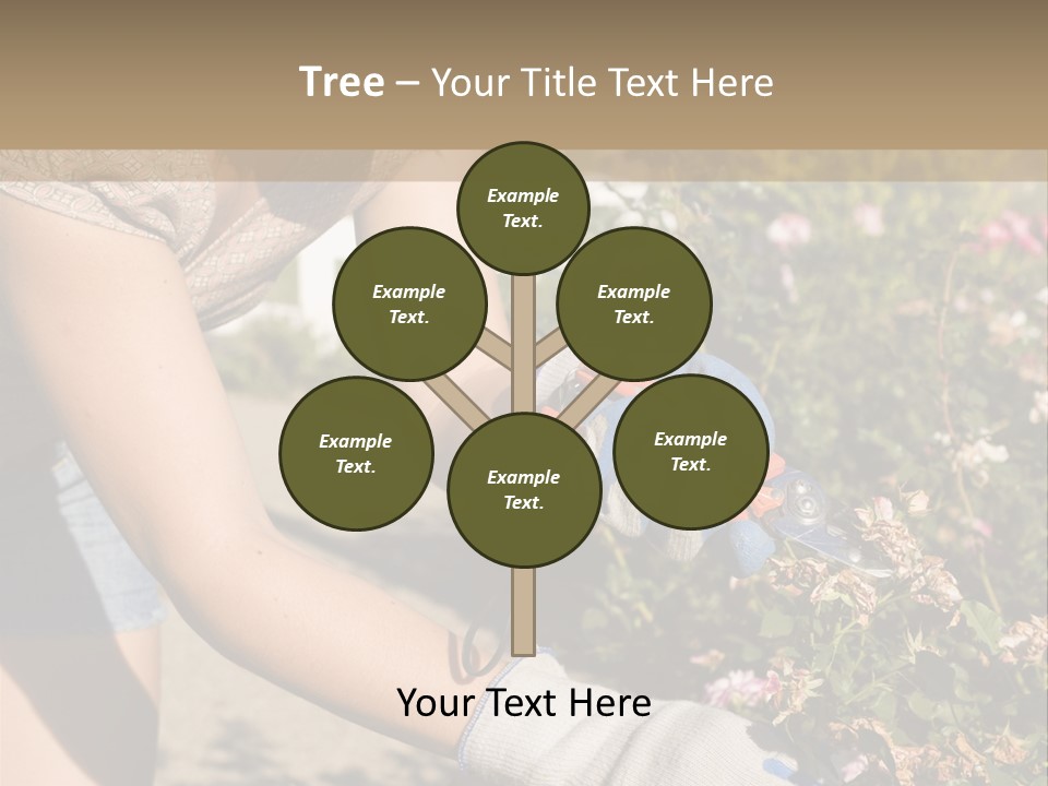 Beautiful Young Woman In The Yard Gardening PowerPoint Template