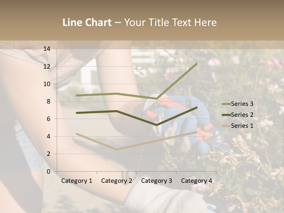 Beautiful Young Woman In The Yard Gardening PowerPoint Template