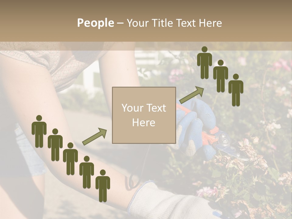 Beautiful Young Woman In The Yard Gardening PowerPoint Template