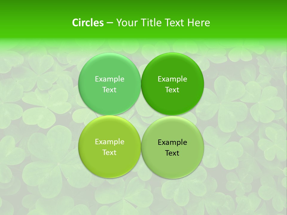 Clover Carpet PowerPoint Template