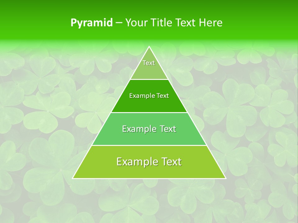 Clover Carpet PowerPoint Template