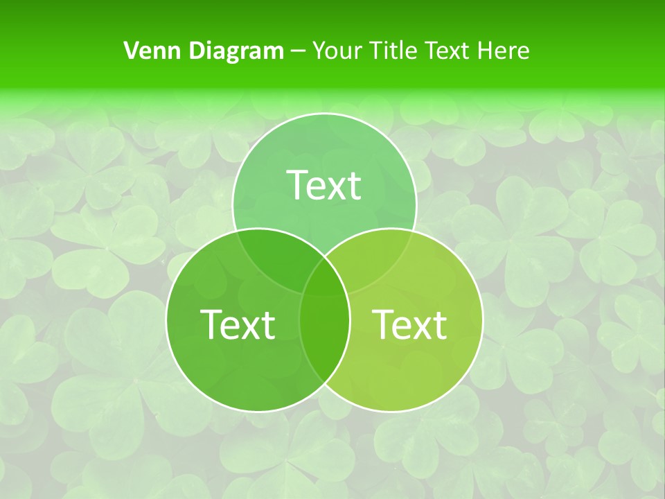 Clover Carpet PowerPoint Template