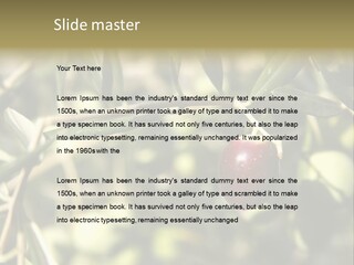 Ripening Olive On Tree Ready For Harvesting PowerPoint Template