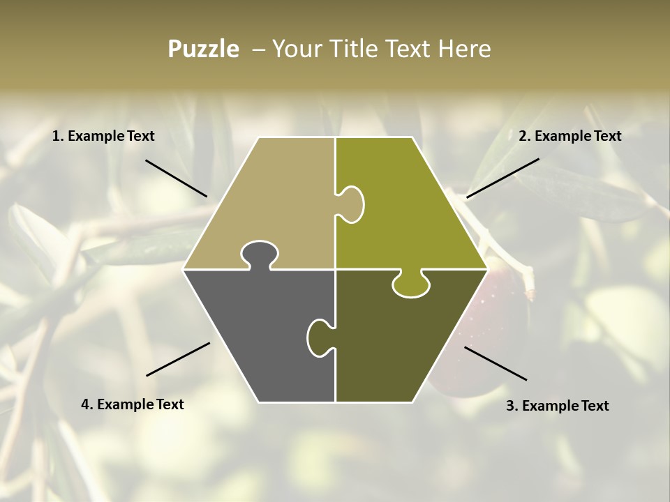 Ripening Olive On Tree Ready For Harvesting PowerPoint Template