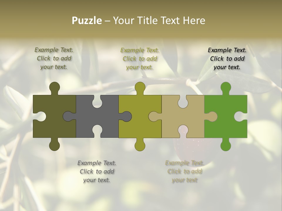 Ripening Olive On Tree Ready For Harvesting PowerPoint Template