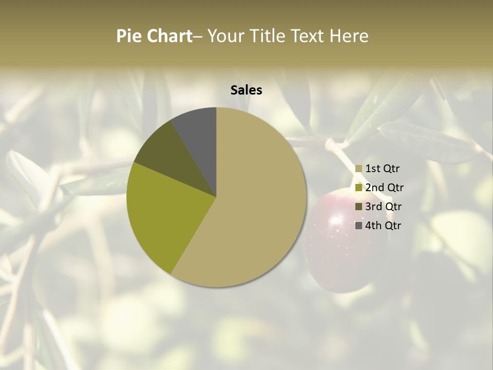 Ripening Olive On Tree Ready For Harvesting PowerPoint Template