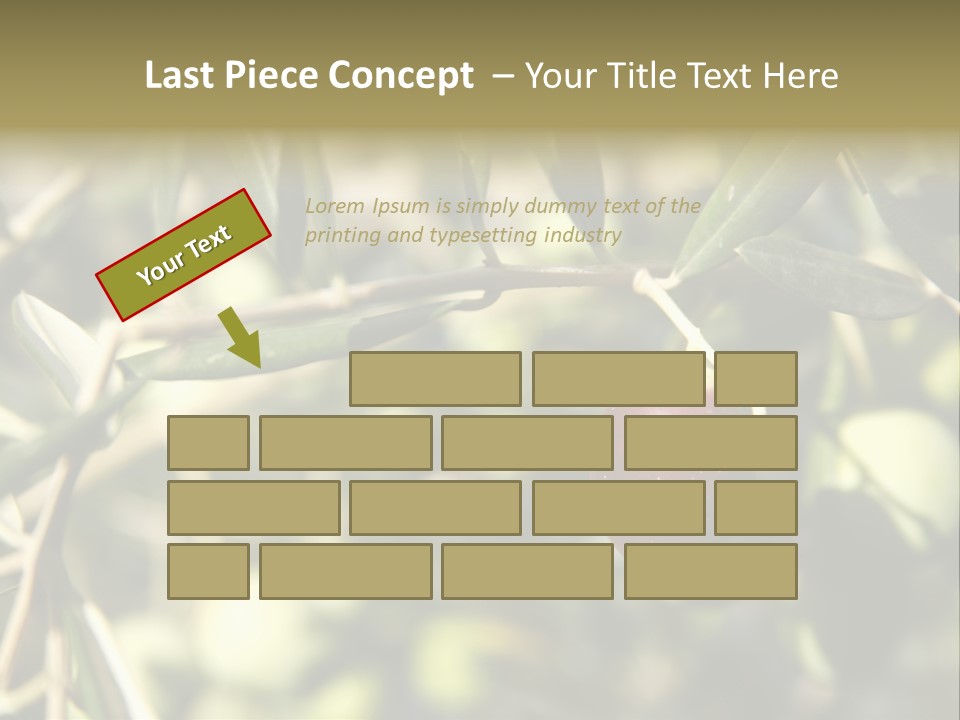 Ripening Olive On Tree Ready For Harvesting PowerPoint Template