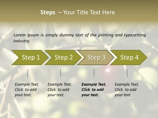 Ripening Olive On Tree Ready For Harvesting PowerPoint Template