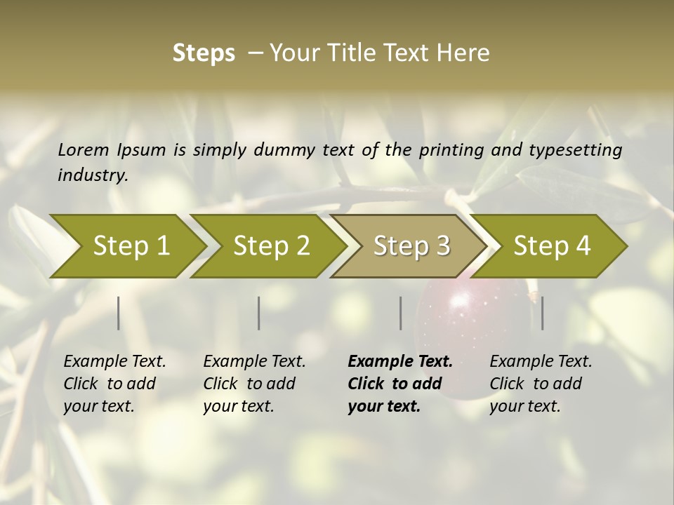 Ripening Olive On Tree Ready For Harvesting PowerPoint Template