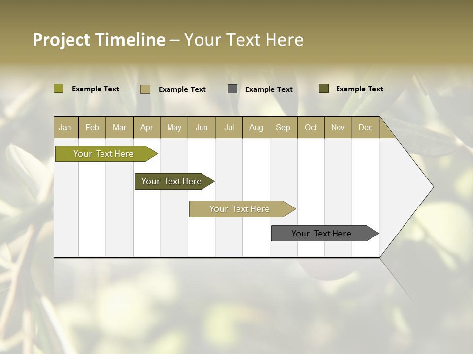 Ripening Olive On Tree Ready For Harvesting PowerPoint Template