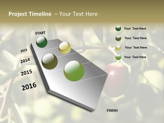 Ripening Olive On Tree Ready For Harvesting PowerPoint Template