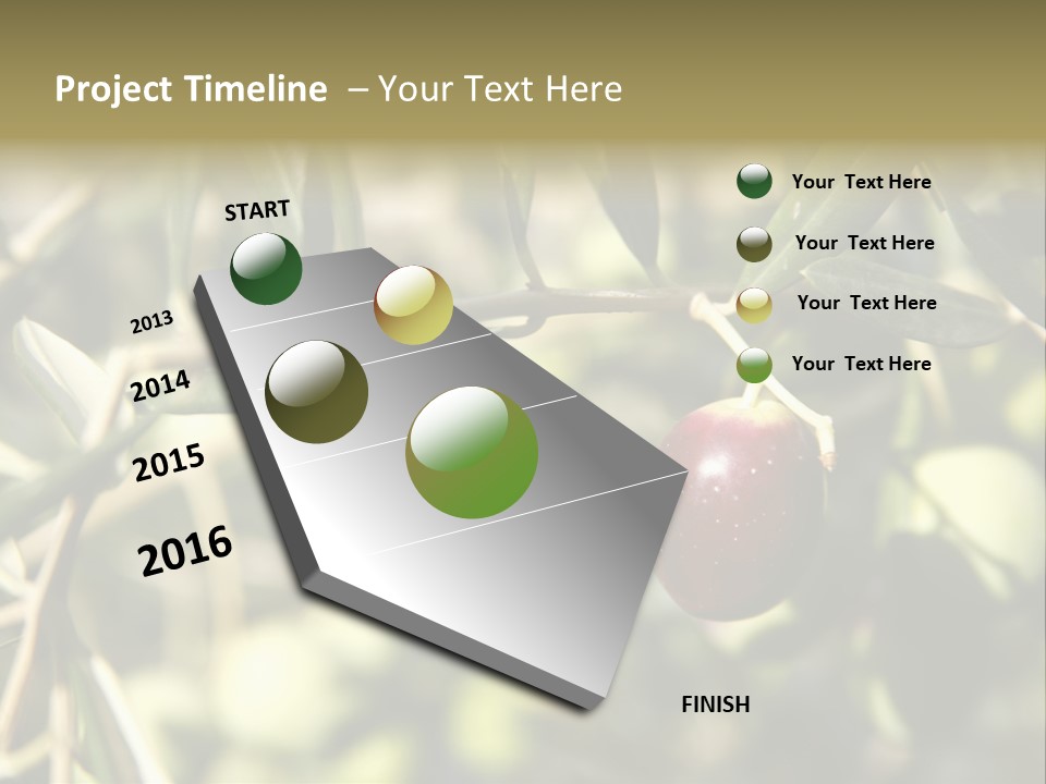 Ripening Olive On Tree Ready For Harvesting PowerPoint Template