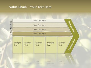 Ripening Olive On Tree Ready For Harvesting PowerPoint Template