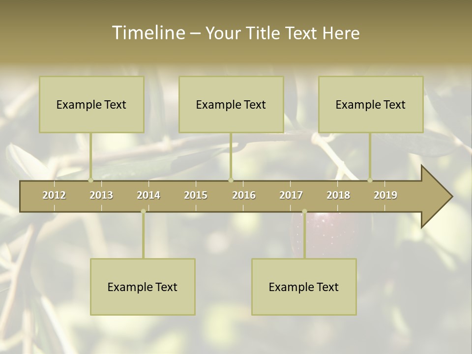 Ripening Olive On Tree Ready For Harvesting PowerPoint Template